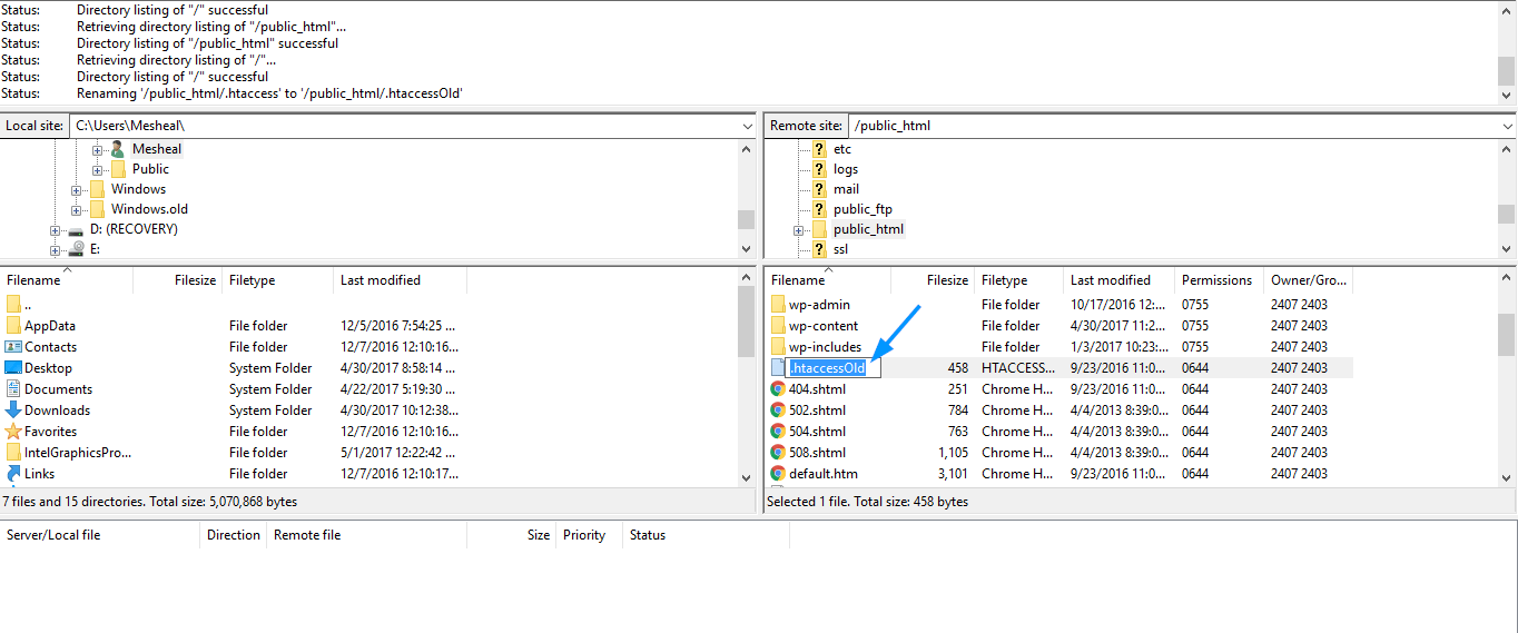 wordpress login not working