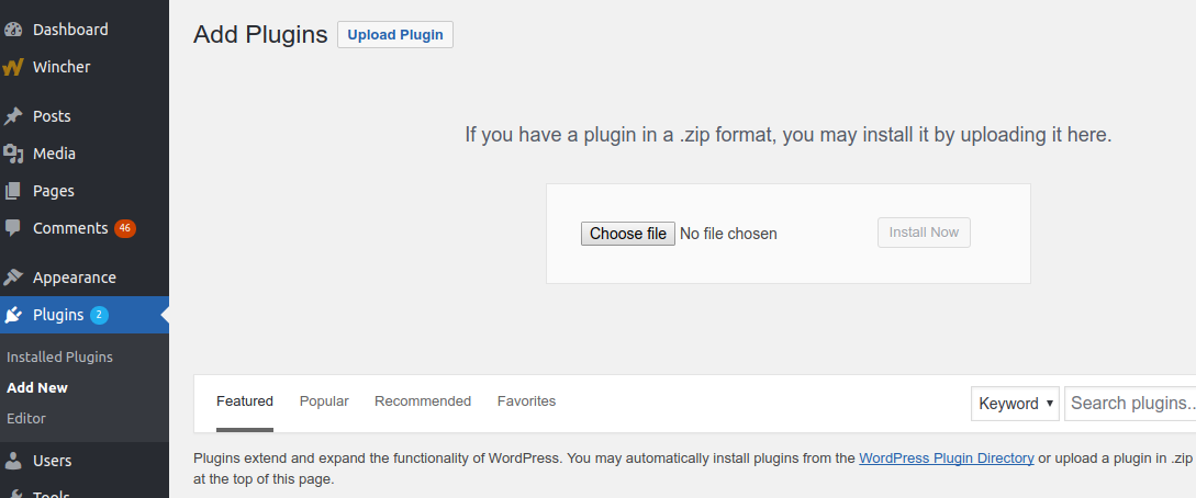 wordpress search not working