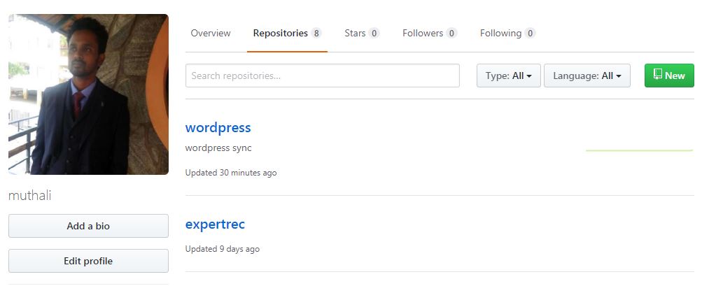 wordpress github