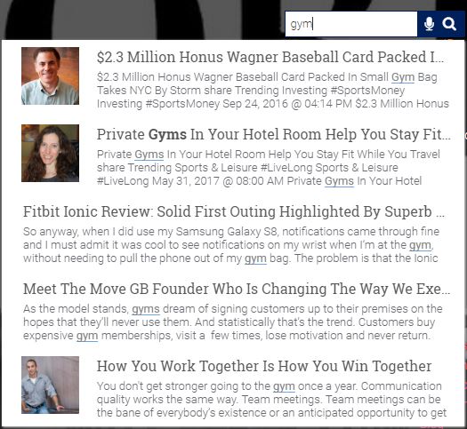 google custom search alternatives