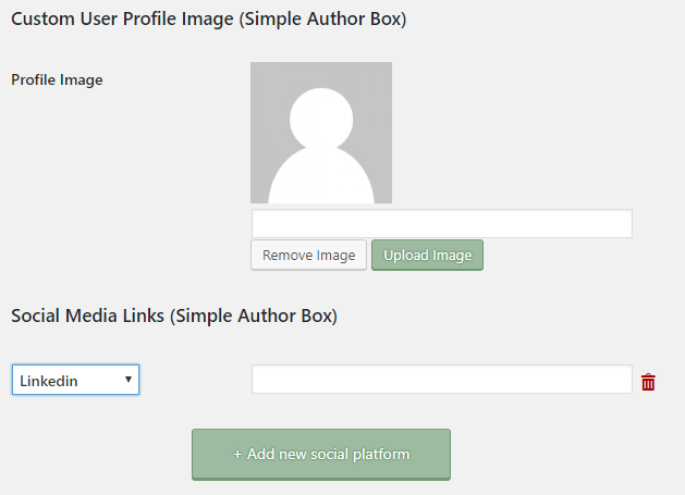 author bio wordpress