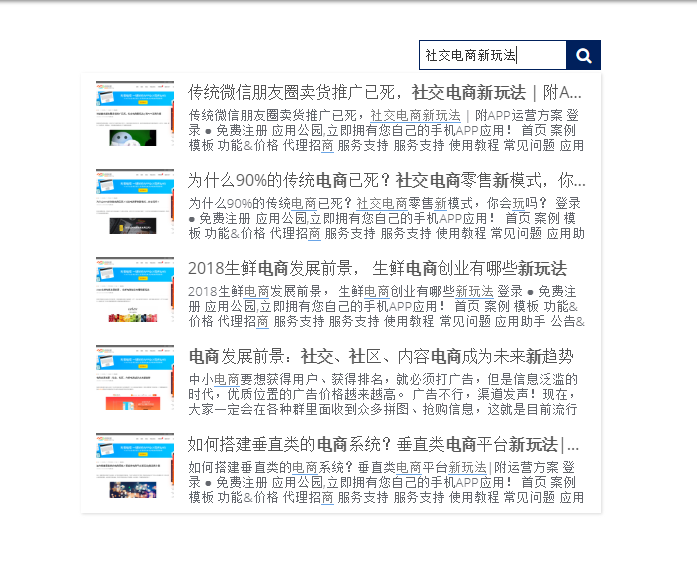 chinese custom search engine