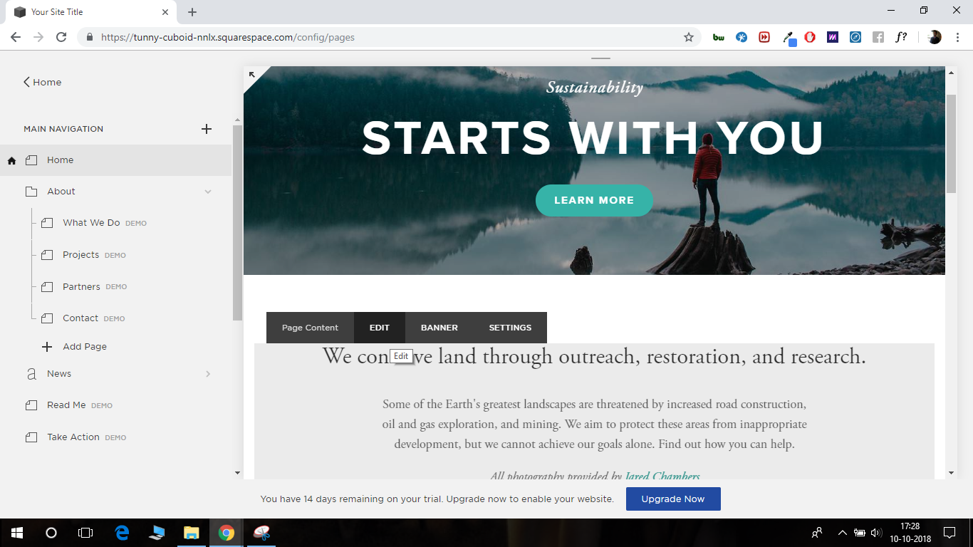 squarespace search bar