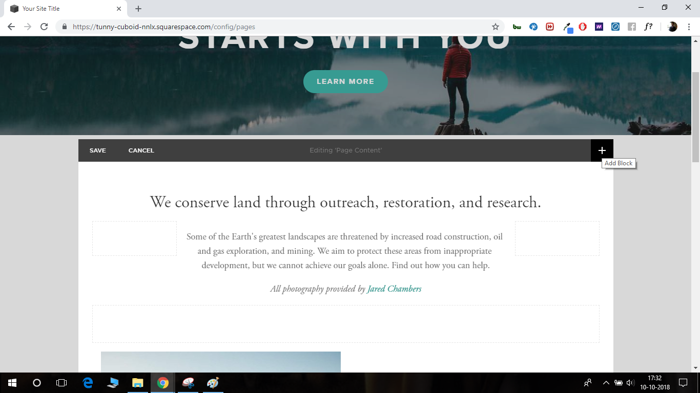 squarespace search bar