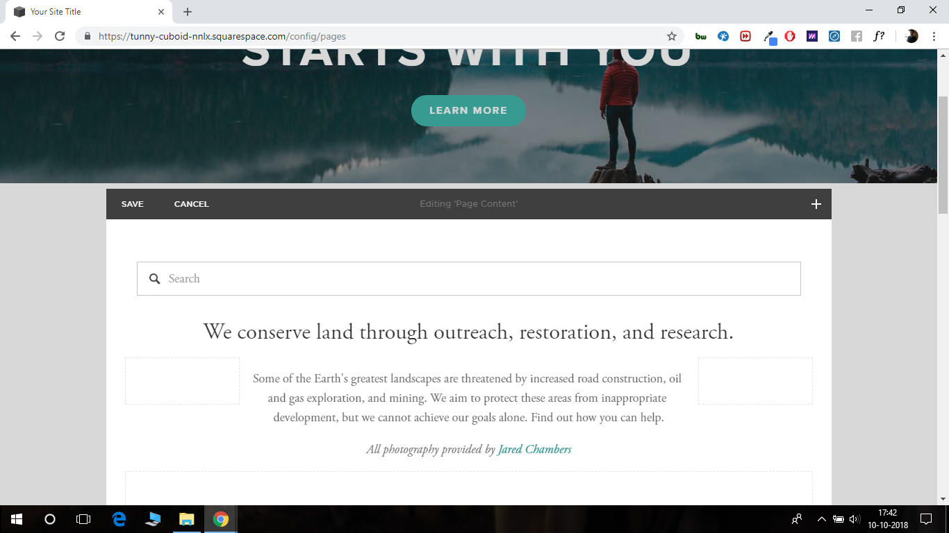 squarespace search bar