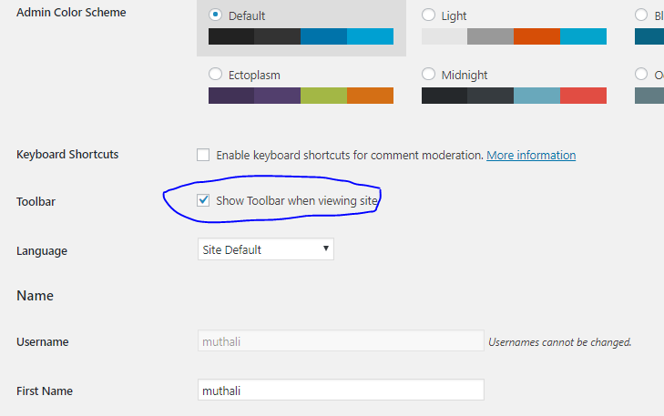 Wordpress admin toolbar missing - How to fix?