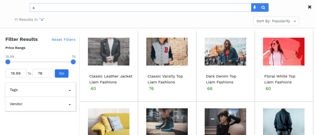 Ecommerce Shopify Autocomplete search box