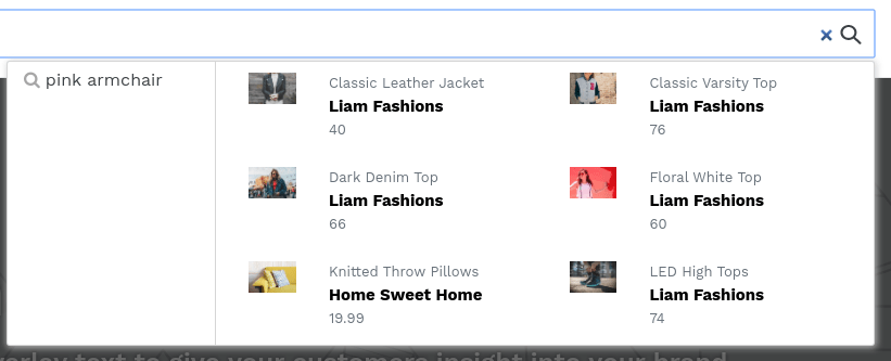 Ecommerce Shopify Autocomplete search box