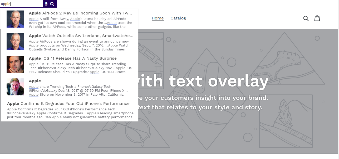 Add google custom search to shopify
