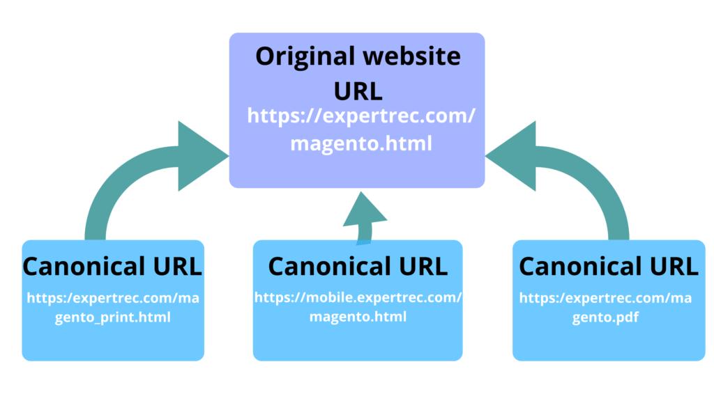 How to add canonical URL in magento 2