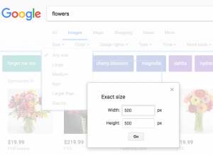 google images exact size broken
