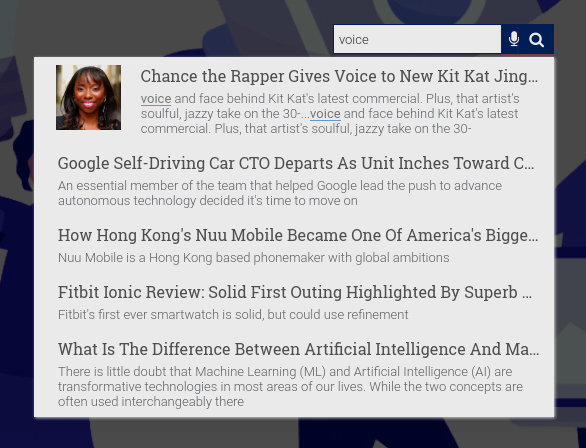 Wordpress voice search option