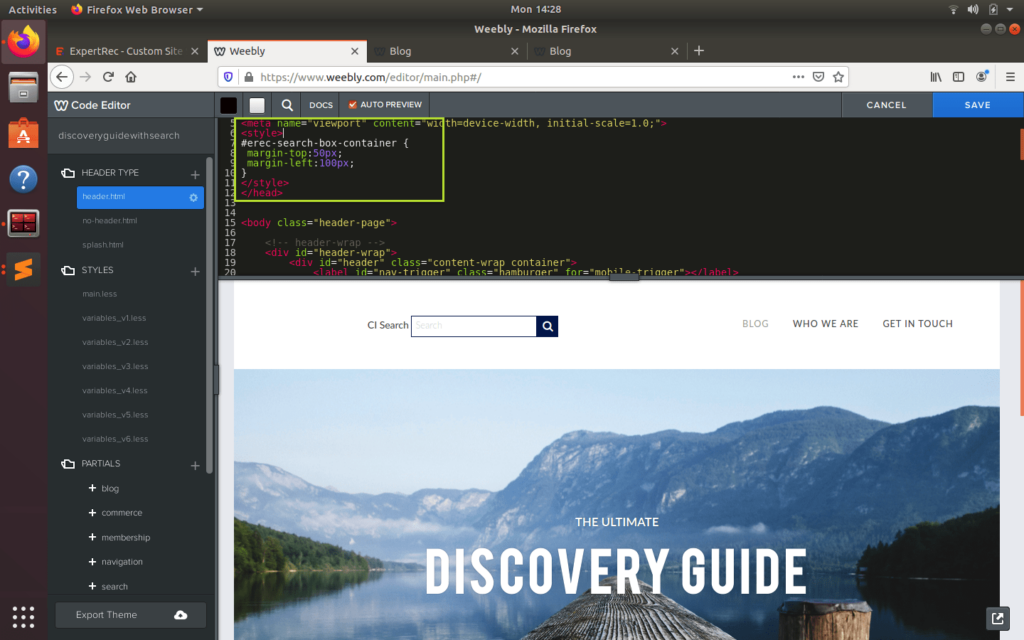 Add custom CSS to expertrec search box