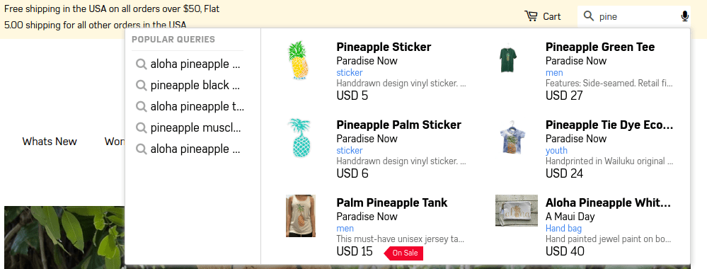 Ecommerce internal website search